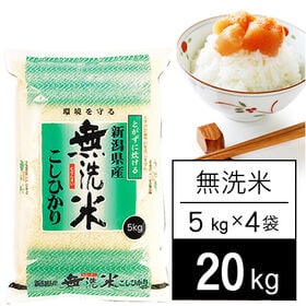 【計20kg/5kgx4袋】 令和6年産 越後の米 新潟県産 コシヒカリ 無洗米 | 美味しく実りました