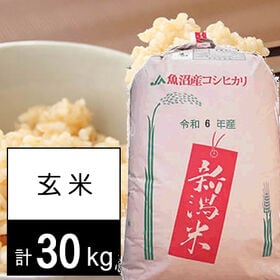 【30kg】新米 令和6年産 新潟県魚沼産コシヒカリ JA十日町 1等玄米 | 人気の高い魚沼コシヒカリです。