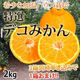 【予約受付】12/10~順次出荷【2kg(5~8玉)】熊本県産 特選ハウスデコみかん 秀品