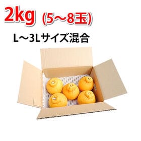 【予約受付】12/10~順次出荷【2kg(5~8玉)】熊本県産 特選ハウスデコみかん 秀品