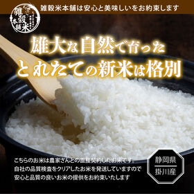 【5kg】令和6年産 静岡県 上垂木産 こしひかり【おまけ付き(39穀米ブレンド450g)】