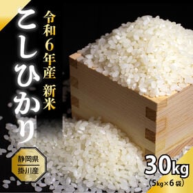 【30kg(5kg×6袋)】令和6年産 白米 静岡県掛川市上垂木産 こしひかり | ふっくらつやつやモチモチほんのり甘い♪定番のコシヒカリ★冷めても美味しい！工場直送で新鮮