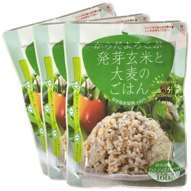 【160g×6袋】からだよろこぶ発芽玄米と大麦のごはん／パックご飯／レンジ調理