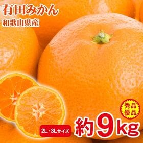 【予約受付】12/5~順次出荷【約9kg/2L・3L】産地直送「秀品・優品」和歌山県産有田みかん | みかんの産地　有田みかんを産地直送便でお届けさせて頂きます！