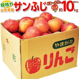 【予約受付】11/18~順次出荷【約10kg （目安として26〜54玉）】規格外　サンふじりんご | 大人気品種！サンふじりんごの規格外品