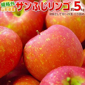 【予約受付】11/18~順次出荷【約5kg（目安として13〜25玉）】規格外　サンふじりんご | 大人気品種！サンふじりんごの規格外品