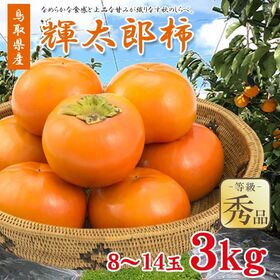 【3kg/8~14玉】秀品　鳥取県産 輝太郎柿