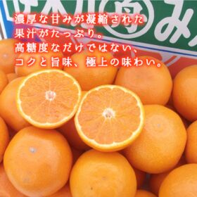 【予約受付】11月下旬~順次出荷【長崎】2kg　伊木力みかん