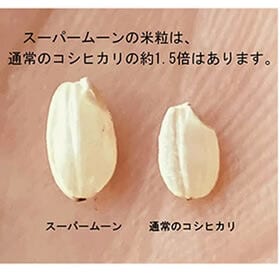 【5kg】新米 令和6年産 山梨県産 特別栽培米 「スーパームーン」 白米