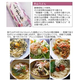 【360g(180g×2袋)】月山うどん 4人前