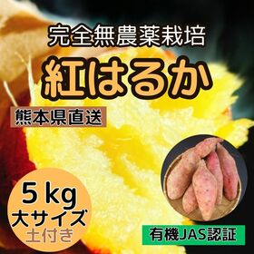 【5kg】熊本直送 紅はるか大サイズ 完全無農薬栽培（有機JAS認証/土付き） | 芳醇な香りと高糖度が人気！農家直送♪ 完全無農薬！有機JAS認証で安心安全