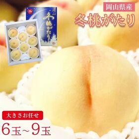 【予約受付】12/8~順次出荷【6~9玉】《秀品》岡山白桃 冬桃がたり | ギフトにも最適　化粧箱入り　冬の希少桃をお楽しみください。