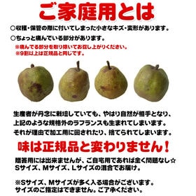 【予約受付】11/15日~順次出荷【約5kg(21-25玉入り 】ご家庭用 ラフランスS~Lサイズ