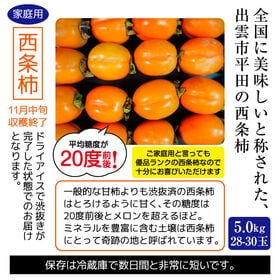 【5.0kg】島根県出雲市平田産 西条柿（ご家庭用）