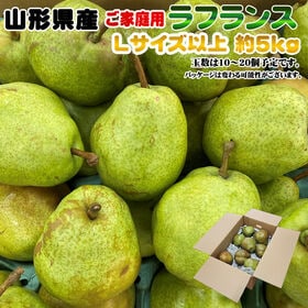 【予約受付】11月15日から順次発送【約5kg(10-20玉入り)】ご家庭用 ラフランスLサイズ以上