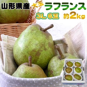 【予約受付】11/15日~順次出荷 【約2kg(6玉入り)】...