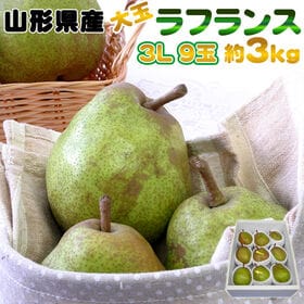 【予約受付】11/15日~順次出荷 【約3kg(9玉入り)】...