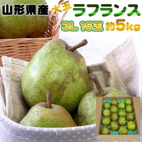 【予約受付】11/15日~順次出荷 【約5kg(16玉入り)...