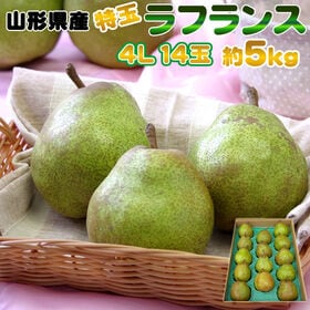 【予約受付】11/15日~順次出荷 【約5kg(14玉入り)...