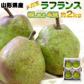 【予約受付】11/15日~順次出荷 【約2kg(4玉入り)】...