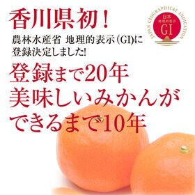 【予約受付】12/6~順次出荷【約2.5kg(S-L)】香川県産 小原紅早生みかん