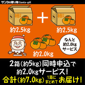 【予約受付】11/11~順次出荷【約2.5kg】香川県柿（ご家庭・不揃い）2箱同時申込で2kgおまけ