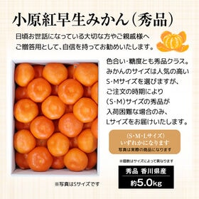 【予約受付】12/6~順次出荷【秀品 約5.0kg(S-L)】香川県産 小原紅早生みかん