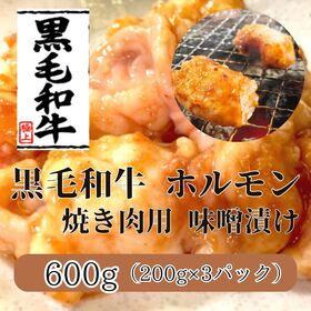 【計600g/200g×3】黒毛和牛 焼き肉ホルモン（マルチョウ）味噌だれ漬け | とろける食感と上品な脂肪の甘みが絶品！特製味噌だれに漬け込んだ黒毛和牛ホルモンは絶品！