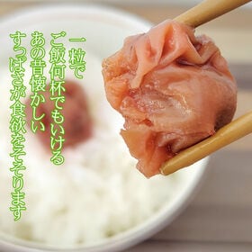 【400g(200g×2袋)】 梅干し400g 大石田漬物