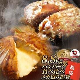 【8.8kg(計88個)】ハンバーグ プレーン＆チーズイン2種食べ比べ メガ盛り福袋！