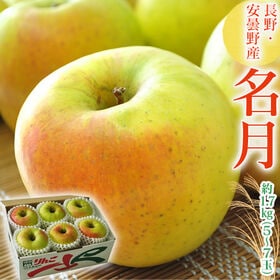 【約1.7kg(5〜7玉)】名月  長野県安曇野産 りんご | 甘さが際立つりんご。蜜も期待できます。