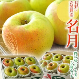 【2箱計約3.4kg(1箱 約1.7kg 5〜7玉入)】名月  長野県安曇野産 りんご