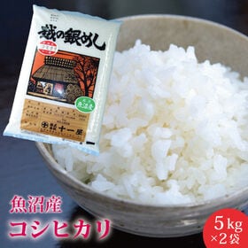 【10kg】魚沼産 コシヒカリ≪令和6年度産≫