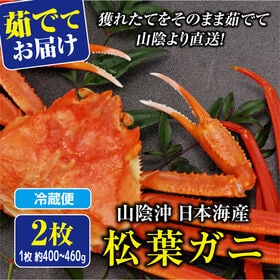 【予約】12/9~週末土日着で出荷【2枚×(400-460g)】山陰沖日本海産 松葉ガニ(ボイル) | 甘い身と濃厚なミソは絶品♪この時期だけの松葉がにを茹でた(ボイル)絶品の美味しさ♪