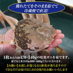 【予約】12/9~週末土日着で出荷【2枚×(400-460g)】山陰沖日本海産 松葉ガニ(ボイル)