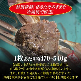 【予約】12/9~週末土日着で出荷【2枚×(470-540g)】山陰沖日本海産 活きた松葉ガニ