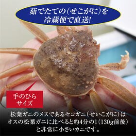 【予約】12/9~週末土日着で出荷【7枚×(110-120g)】山陰沖日本海産 セコガニ(ボイル)