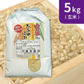 【5kg×1袋】令和6年産 新米  【玄米】 岩手県花巻産ひとめぼれ特別栽培米