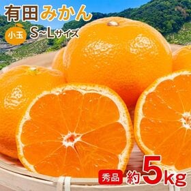 【予約受付】11/15~順次出荷【約5kg/S~Lサイズ】《秀品》和歌山県産 有田みかん | みかんの産地　有田みかんをお楽しみください♬