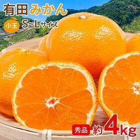 【予約受付】11/15~順次出荷【約4kg/S~Lサイズ】《秀品》和歌山県産 有田みかん | みかんの産地　有田みかんをお楽しみください♬