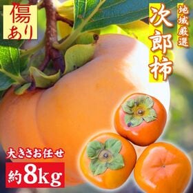 【約8kg】地域厳選 次郎柿 (ご家庭用、傷あり) | カリカリ食感からトロトロまで楽しめる甘みが特徴♪