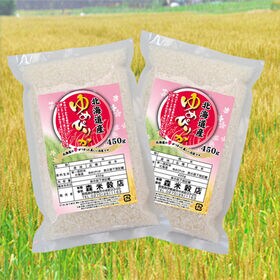 【450g×2袋】令和6年産  新米 北海道産ゆめぴりか