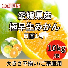 【10kg】愛媛県産極早生みかん(日南1号)ご家庭用(大きさ不揃い) | 10月限定！極早生みかんを愛媛のブランド産地よりお届け！すっきり爽やかな酸味！