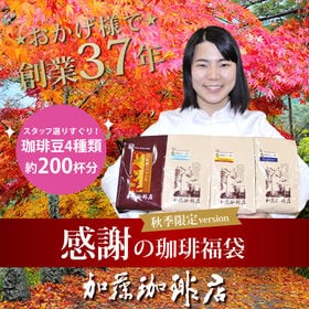 【計2kg(500g×4種)】感謝の珈琲飲み比べ 秋季限定version＜挽き具合：豆のまま＞