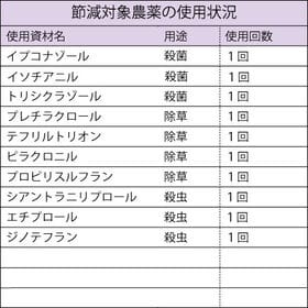 【450g×2袋】令和6年産  新米 特別栽培米山形県産つや姫