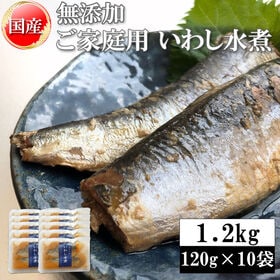 【1.2kg(120g×10袋)】いわし水煮