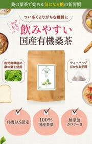 【2g×50包/計100g】朝日《国産》 オーガニック桑の葉茶 血糖値 有機桑茶 マルベリー