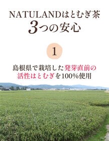 【5g×55包/計275g】朝日《 国産》 はとむぎ茶  ハトムギ茶 ノンカフェイン