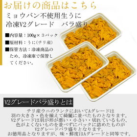 【300g】生ウニ　無添加　お徳用　ミョウバン不使用