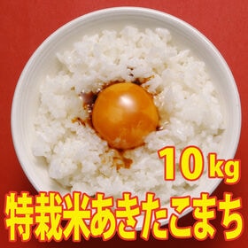 【10kg (5kg×2袋)】令和6年産 新米 こだわり 特別栽培米秋田県仙北産あきたこまち